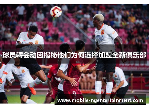 球员转会动因揭秘他们为何选择加盟全新俱乐部