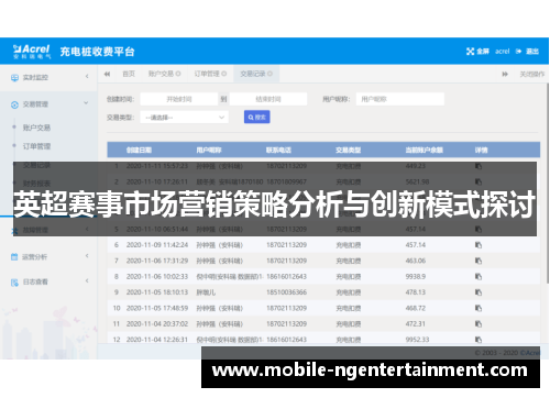 英超赛事市场营销策略分析与创新模式探讨 英超赛事市场营销策略分析与创新模式探讨