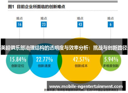 英超俱乐部治理结构的透明度与效率分析：挑战与创新路径